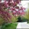 Gulin Park